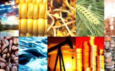 Almacén: Cómo recibimos las materias primas